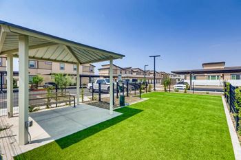 Paw park